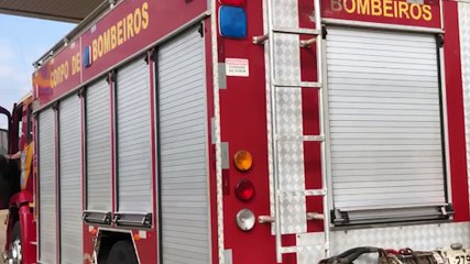 Cachorro preso em pedreira mobilizada Corpo d Bombeiros no Guarujá