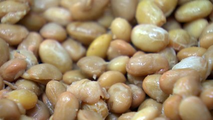 [新농비] 40년 전통 잇는 발효 명가...냄새 없는 연잎 청국장 / YTN