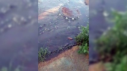 Internauta reclama de vazamento de esgoto no Periolo