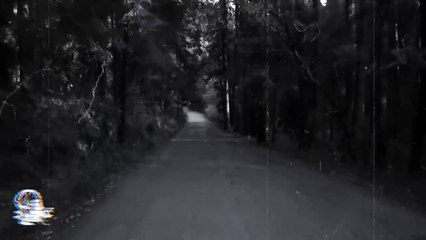 3 HISTORIAS DE TERROR VOL. 115 (Relatos De Horror)