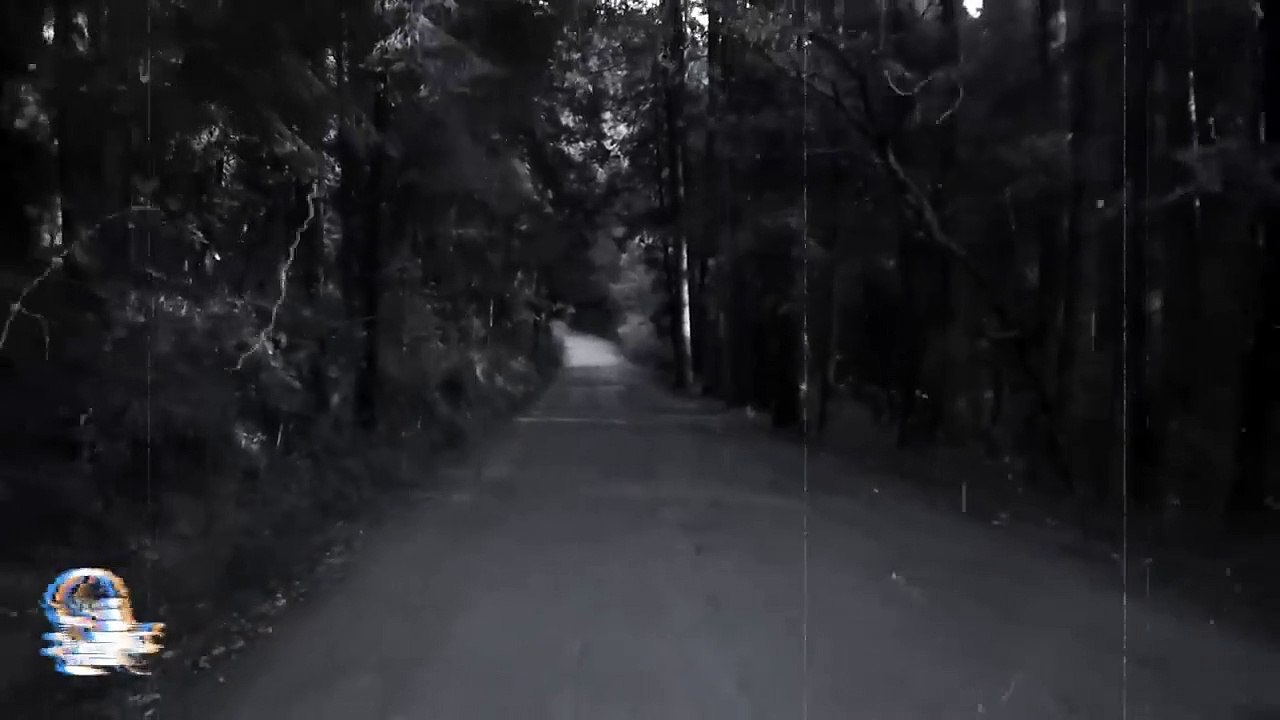 3 HISTORIAS DE TERROR VOL. 115 (Relatos De Horror)