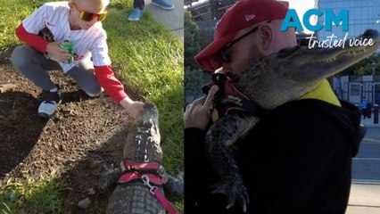 See ya later alligator: Support animal denied entry