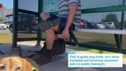 WATCH: Paul Johns and guide dog Keith struggle with public transport