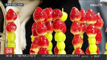 탕후루 대표에 아이돌 출신까지 소환…21대 마지막 국감 '증인열전'