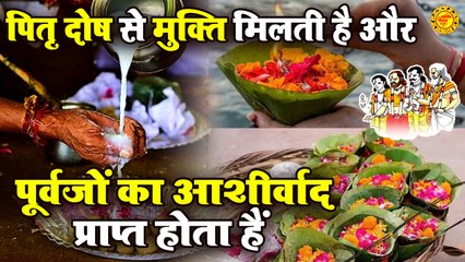 पितृ दोष क्या है और पितृ दोष कैसे दूर करें | Pitra Dosh Ke Upay | Pitru Paksh | Jyotish Astrology