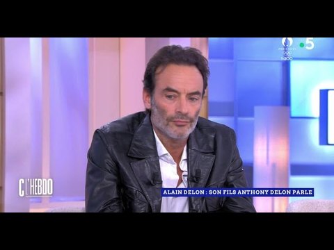 VIDEO: C'est la réponse du berger à la bergère : Anthony Delon réplique aux attaques d'Hiromi Roll