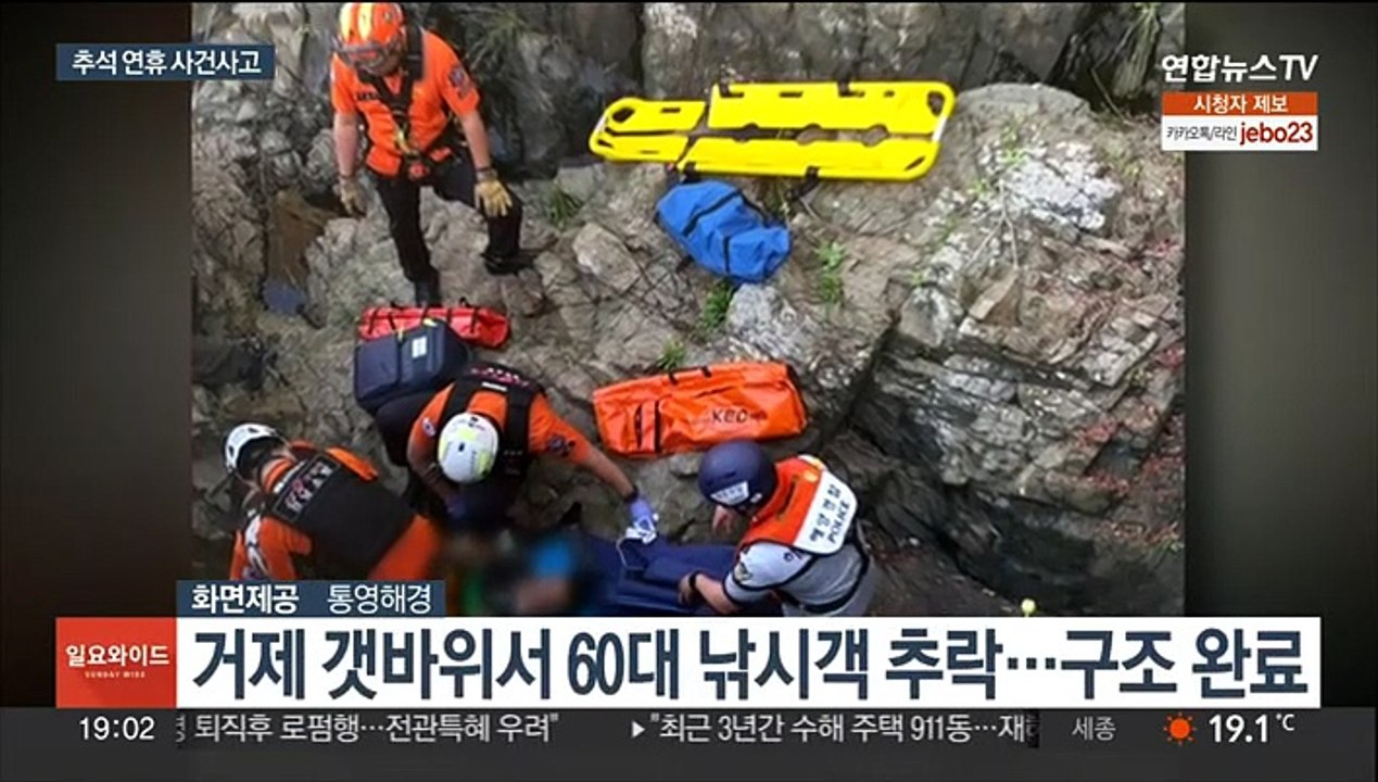부산에 연이어 멧돼지 출현…낚시객 추락 사고도