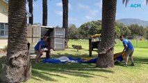Parachute rescues | October 2, 2023 |  Illawarra Mercury