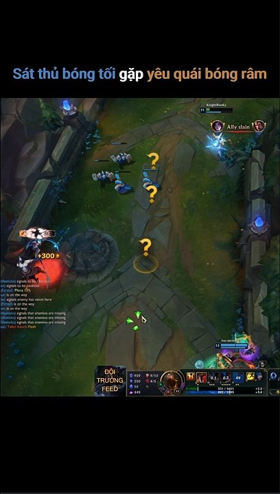 Sát thủ bóng tối gặp yêu quái bóng râm - Đội Trưởng Feed.