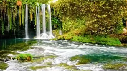 Melodies of Tranquil Cascades