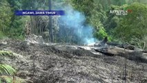 Terbaru! Kebakaran Hutan Di Kawasan Gunung Lawu Ngawi Kini Meluas Hingga Karanganyar Jawa Tengah