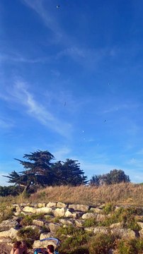 marée haute et les mouettes Port des Barques