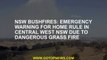 NSW bushfires: Emergency warning for Home Rule in Central West NSW due to dangerous grass fire