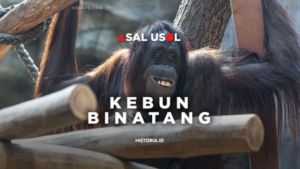 Asal-Usul Kebun Binatang