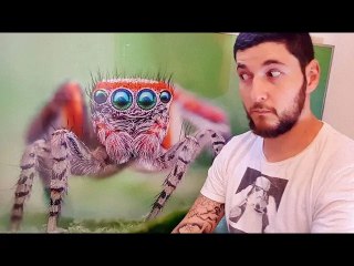 Bédeilhac : un photographe amateur ariégeois fait la une du "Wall Street Journal"