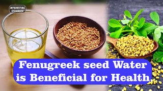 Fenugreek seed water is beneficial for health. @InterestingStranger