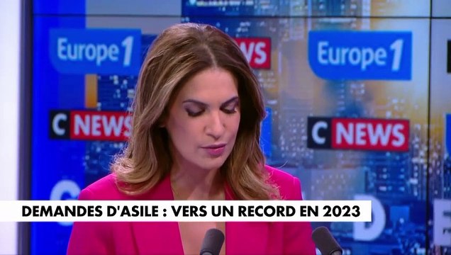Demandes d'asile : «Il n'y a plus de différence entre le légitime et l'illégitime», estime Jean-Philippe Tanguy