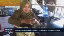 Sensasi Minum Kopi dan Es Durian Di Tengah Kebun