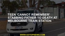 Teen 'cannot remember' stabbing father to death at Melbourne train station