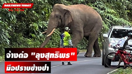 อุทยานฯ เขาใหญ่จ้างต่อ "ลุงสุทธิพร" มือปราบช้างป่า! | DAILYNEWSTODAY เดลินิวส์ 02/10/66