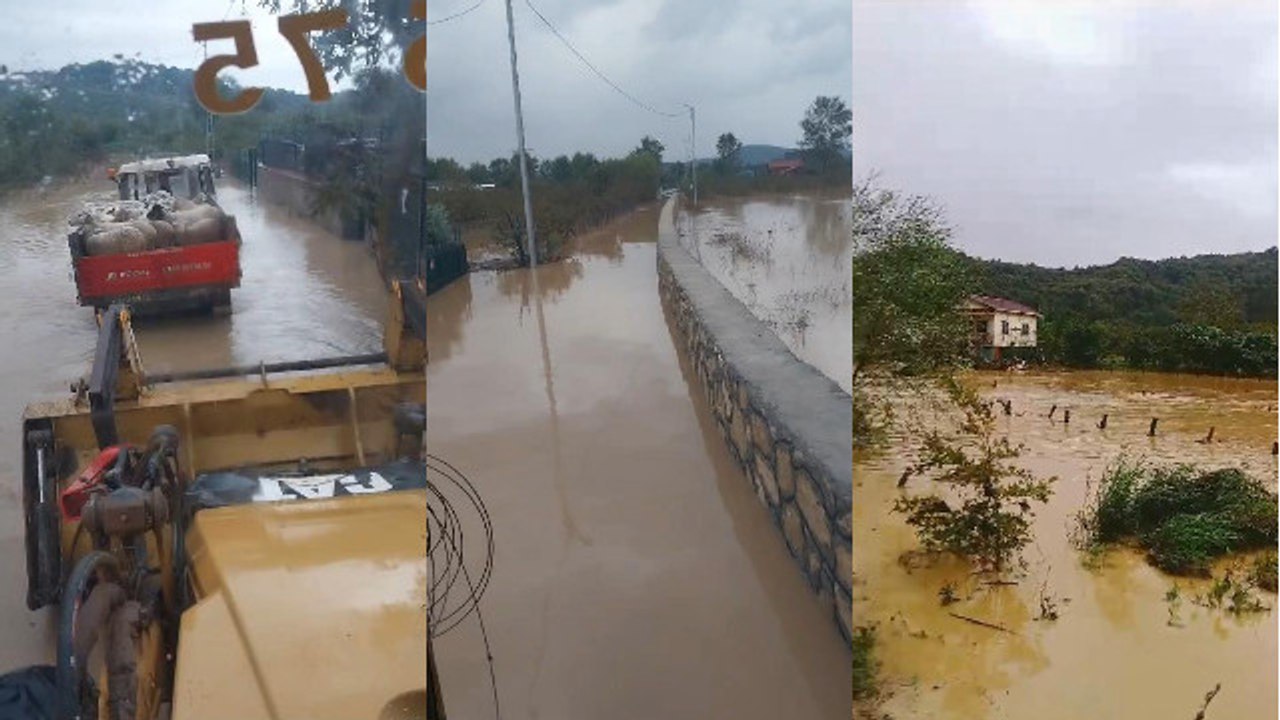 Şile'de yağışın ardından dere taştı