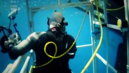 Les hommes requins S01E08