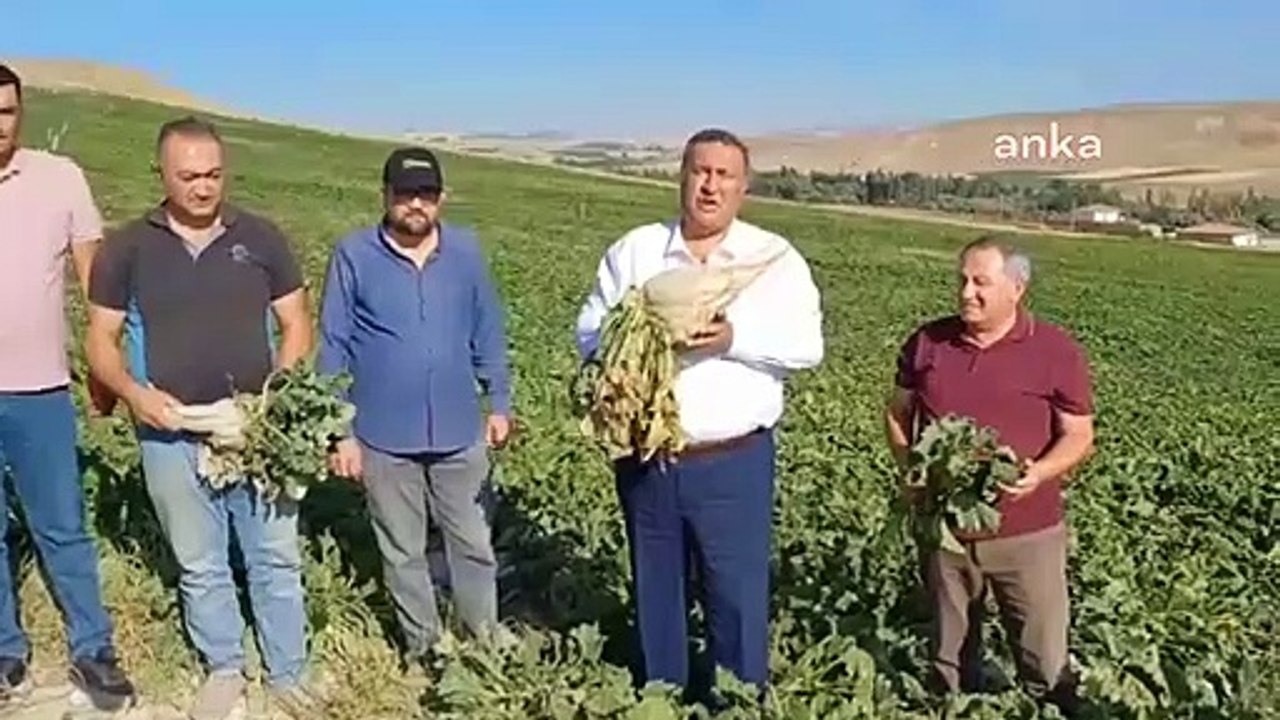 Le ministère de l'Agriculture et des Forêts n'a pas encore annoncé le prix de base de la betterave sucrière