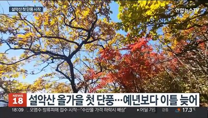 설악산 올가을 첫 단풍…이달 하순 오색빛깔 절정