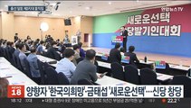 속도 내는 제3지대 신당 작업…정의당 재창당 어디쯤