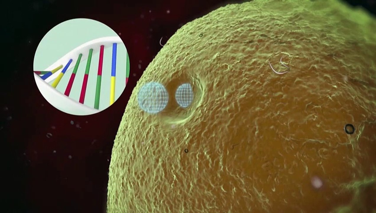 Videografik: So funktionieren mRNA-Impfstoffe