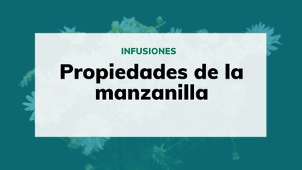 Propiedades de la manzanilla (Vídeo)