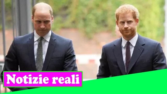 Il principe Harry e il principe William hanno fatto una promessa straziante a Diana, dice l'autore