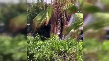 Le panier de la grue s'est brisé à Adana, 2 ouvriers tombés ont survécu en s'accrochant en l'air grâce à leurs ceintures de sécurité