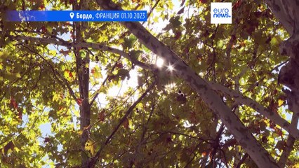 Температурные рекорды осени в Европе