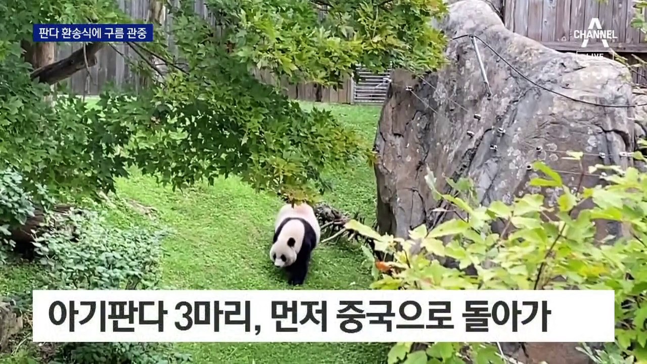 판다 환송식에 구름 관중…미·중 갈등에 저무는 ‘판다 외교’