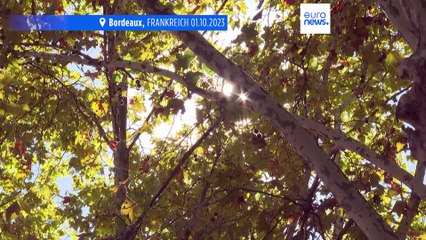 Hitzewelle mit 34,5°: "Wie im August, aber es macht auch Angst"