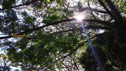 Rumah adat Mamuju, Sulbar  #rumahadat #rumahadatmamuju #mamuju #rumahsulawesibarat #traditionalhouse #mandarhouse #sukumandar