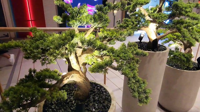 Dubai mall The Famous worlds Shopping mall Dubai