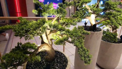 Dubai mall The Famous worlds Shopping  mall Dubai 