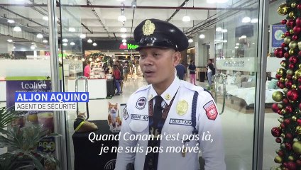 Patrouille sur pattes: les agents de sécurité philippins adoptent des chats errants