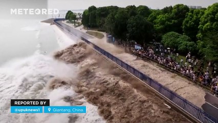 Impressive swell from the incoming tide in Qiantang, China.