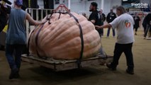 Une citrouille géante de 996 kg remporte le concours de Topsfield