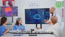 The Future of Brain Surgery with Artificial Intelligence