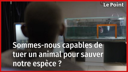 Sommes-nous capables de tuer un animal pour sauver notre espèce ?