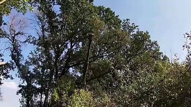 Ukrainian Officer Calls Russian Tech Support to Fix His Captured Russian Tank