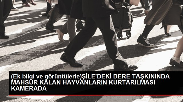 Şile'de Sağanak Yağış Sonrası Koca Deresi Taştı