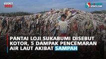 Pantai Loji Sukabumi Disebut Kotor, Ini 5 Dampak Pencemaran Air Laut Akibat Sampah