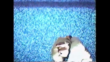 Yellow Door: Nostalgic '90s Lo-Fi Film Club Trailer on Netflix 🎬