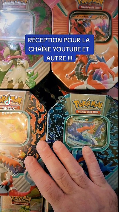 BONJOUR DAILYMOTION PROCHAINEMENT DES VIDÉOS OUVERTURE POKEMON !