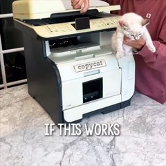 La première imprimante pour multiplier les chats Copycat (Vidéo) !